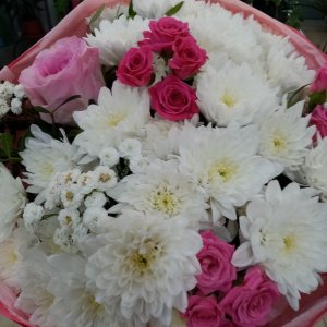  Родники