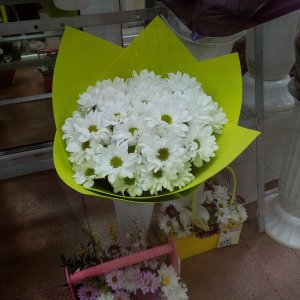  Родники