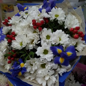  Родники