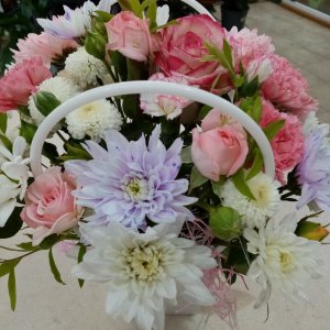  Родники